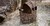STEALTH GEAR TENDA MIMETICA 2 POSTI