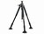 VANGUARD AUCTUS PLUS 323AT