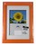 CORNICE 10X15 MARTINI ARANCIO