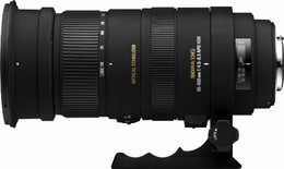  articolo  SG004