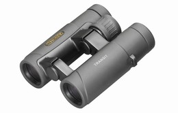  articolo  BI335