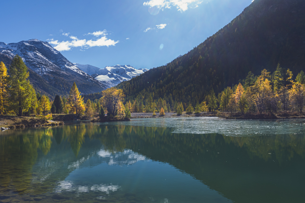 trenino del bernina