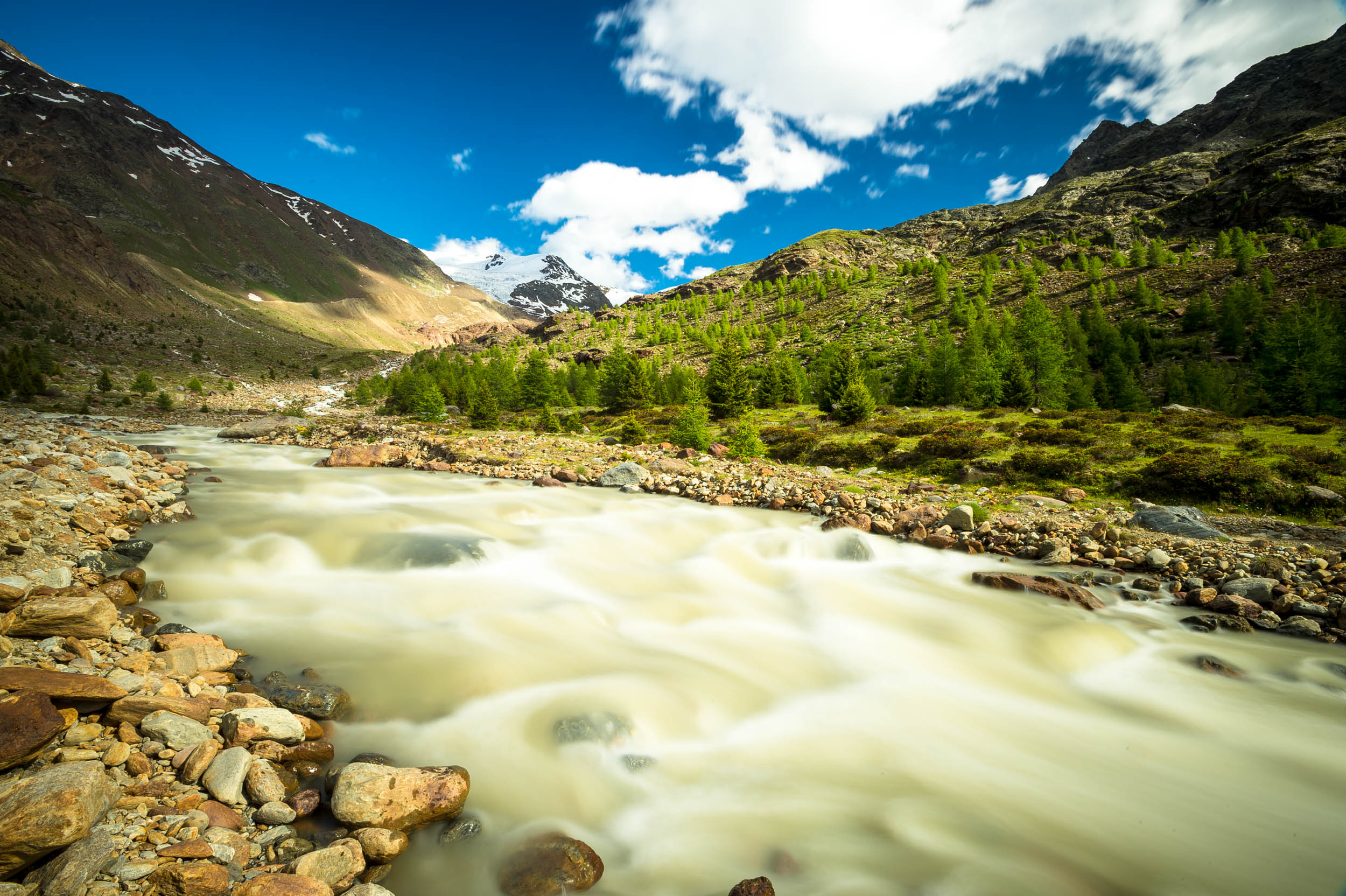 Workshop nel Parco Nazionale dello Stelvio