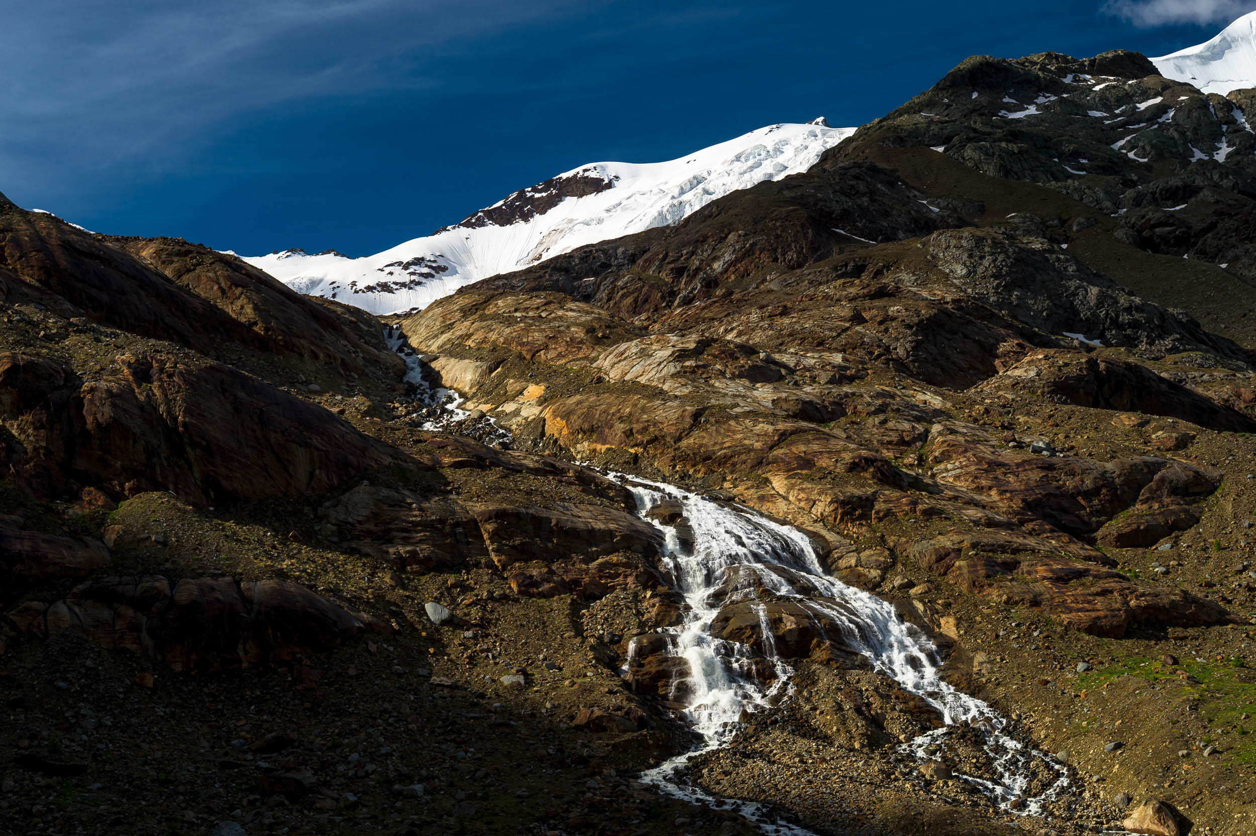 Workshop nel Parco Nazionale dello Stelvio