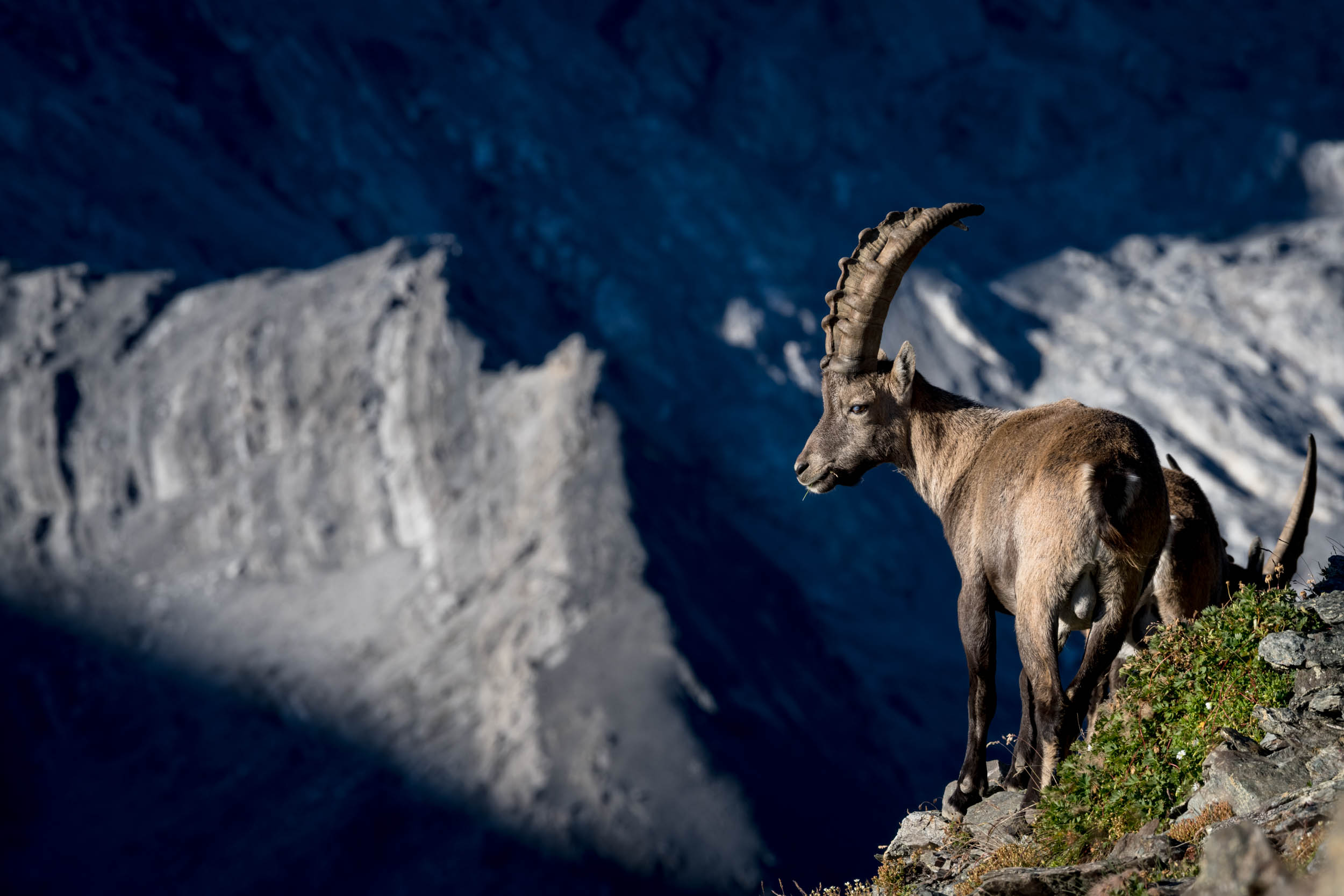 Workshop nel Parco Nazionale dello Stelvio