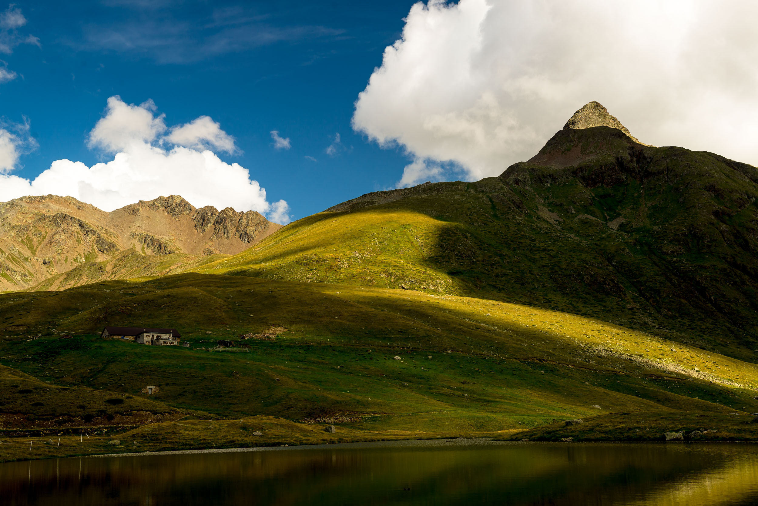 Workshop nel Parco Nazionale dello Stelvio