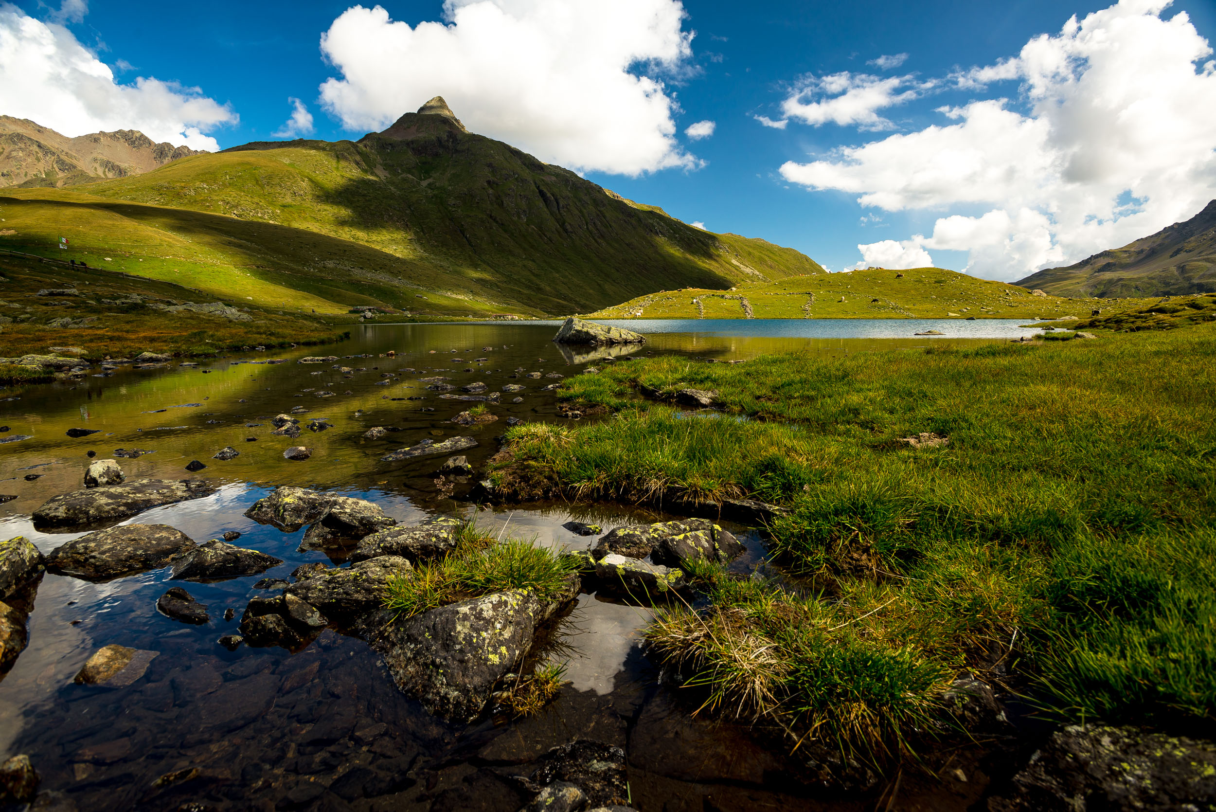 Workshop nel Parco Nazionale dello Stelvio