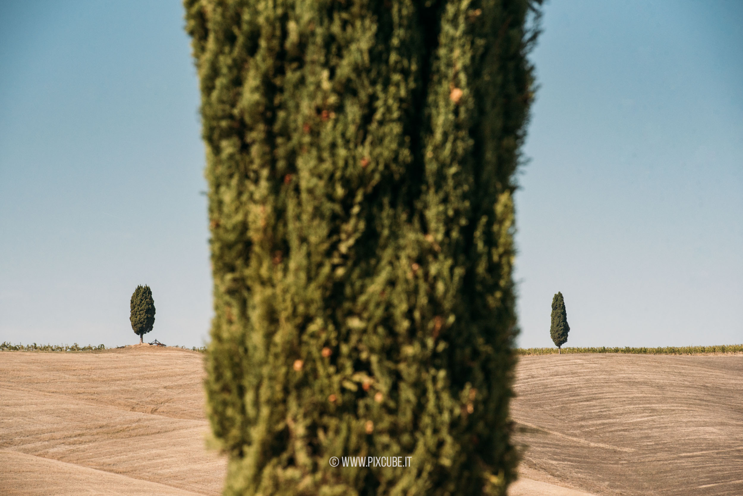 Viaggio Fotografico e Workshop nelle CRETE SENESI