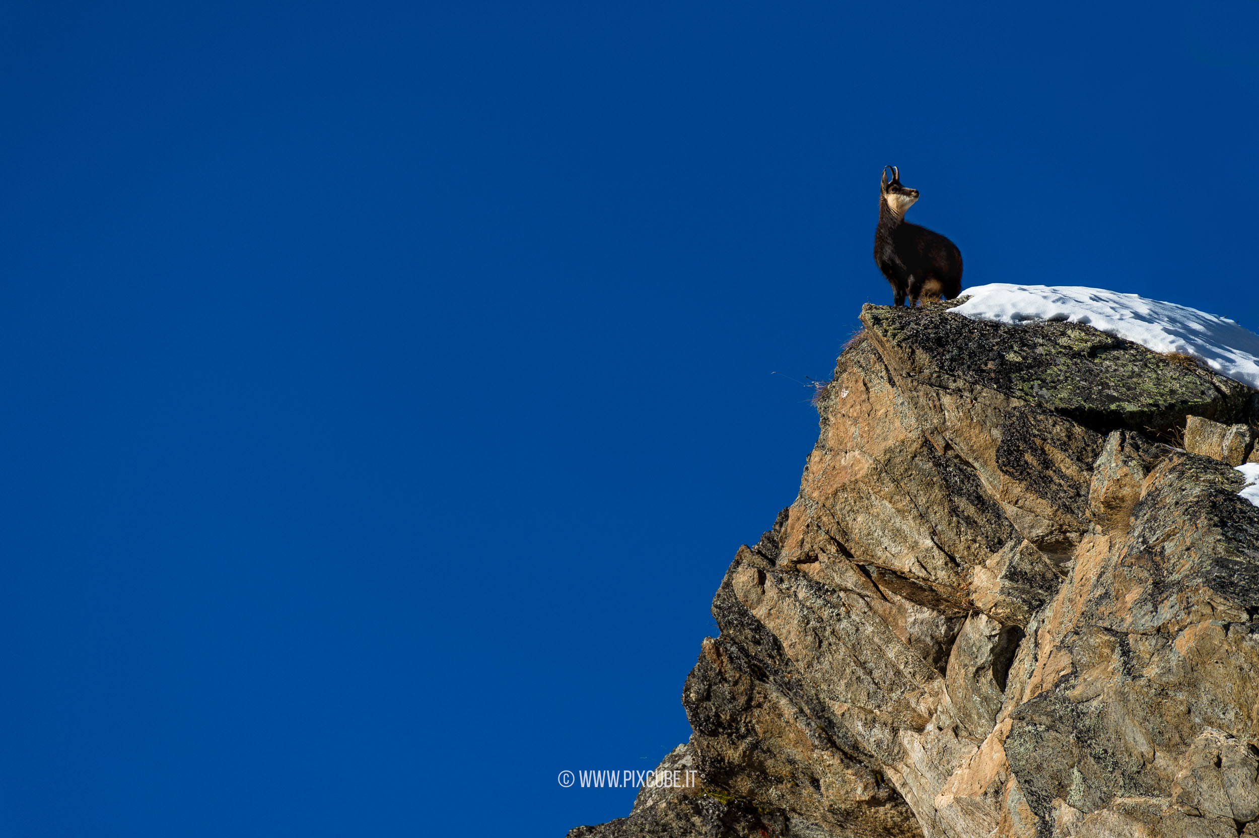 Viaggio Fotografico e Workshop nel Parco Nazionale del Gran Paradiso INVERNO