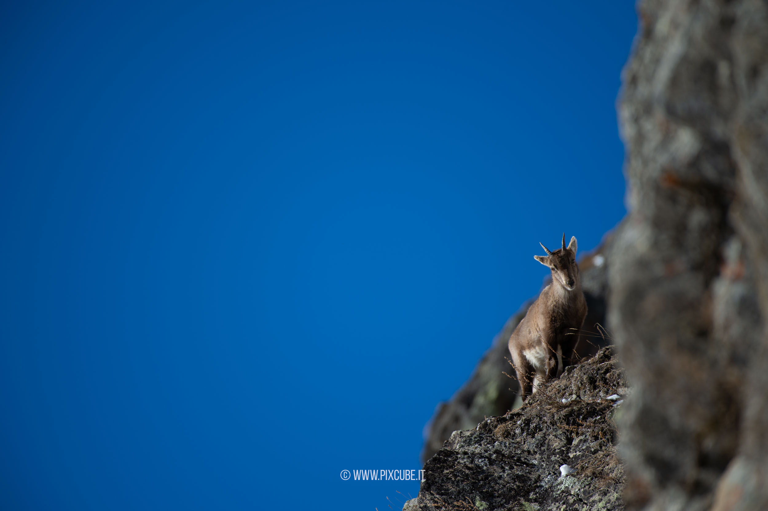 Viaggio Fotografico e Workshop nel Parco Nazionale del Gran Paradiso INVERNO