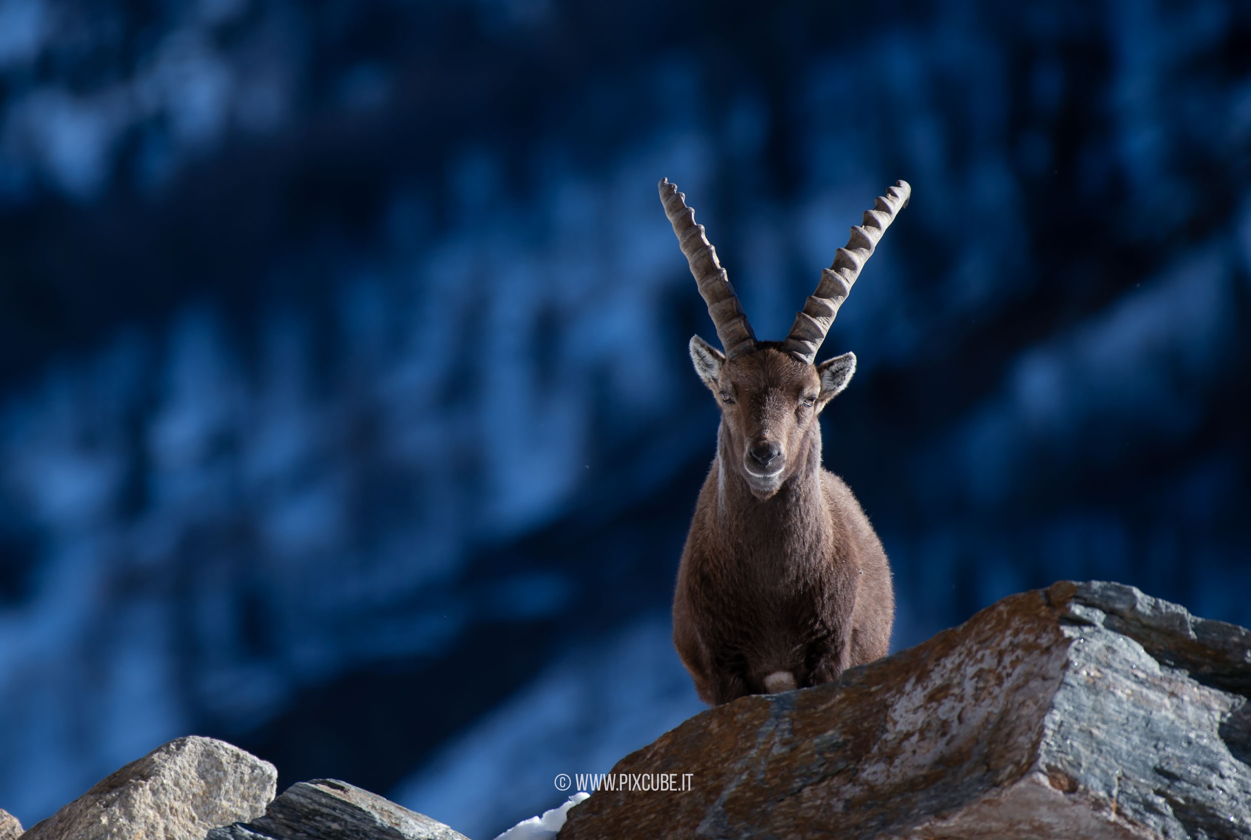 Viaggio Fotografico e Workshop nel Parco Nazionale del Gran Paradiso INVERNO
