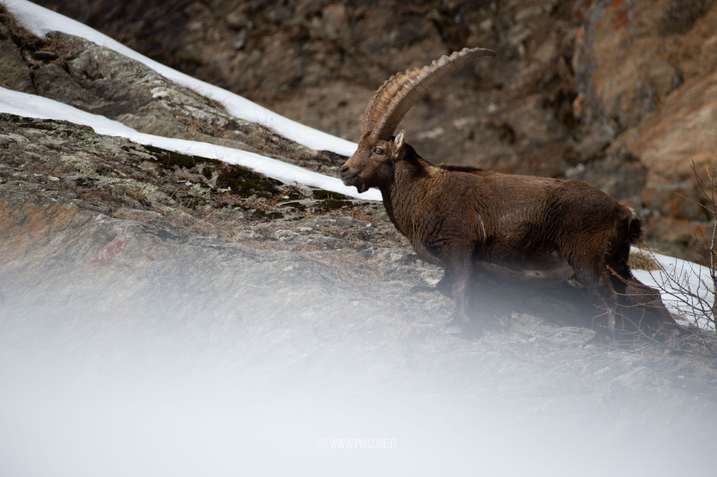 Viaggio Fotografico e Workshop nel Parco Nazionale del Gran Paradiso INVERNO