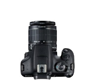 CANON EOS 2000D + EF-S 18-55 IS II