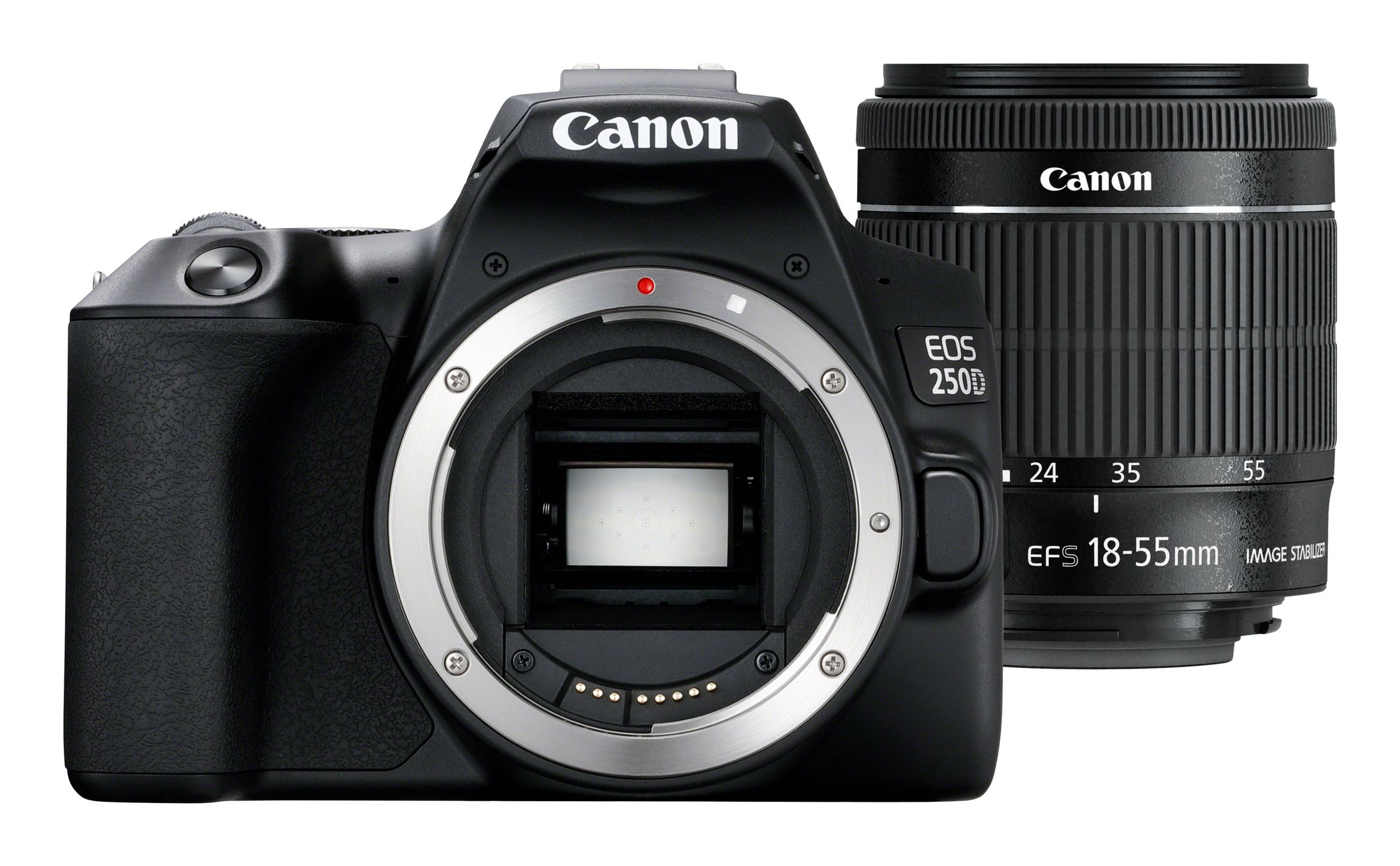 CANON EOS 250D BLACK + EF-S 18-55 IS STM