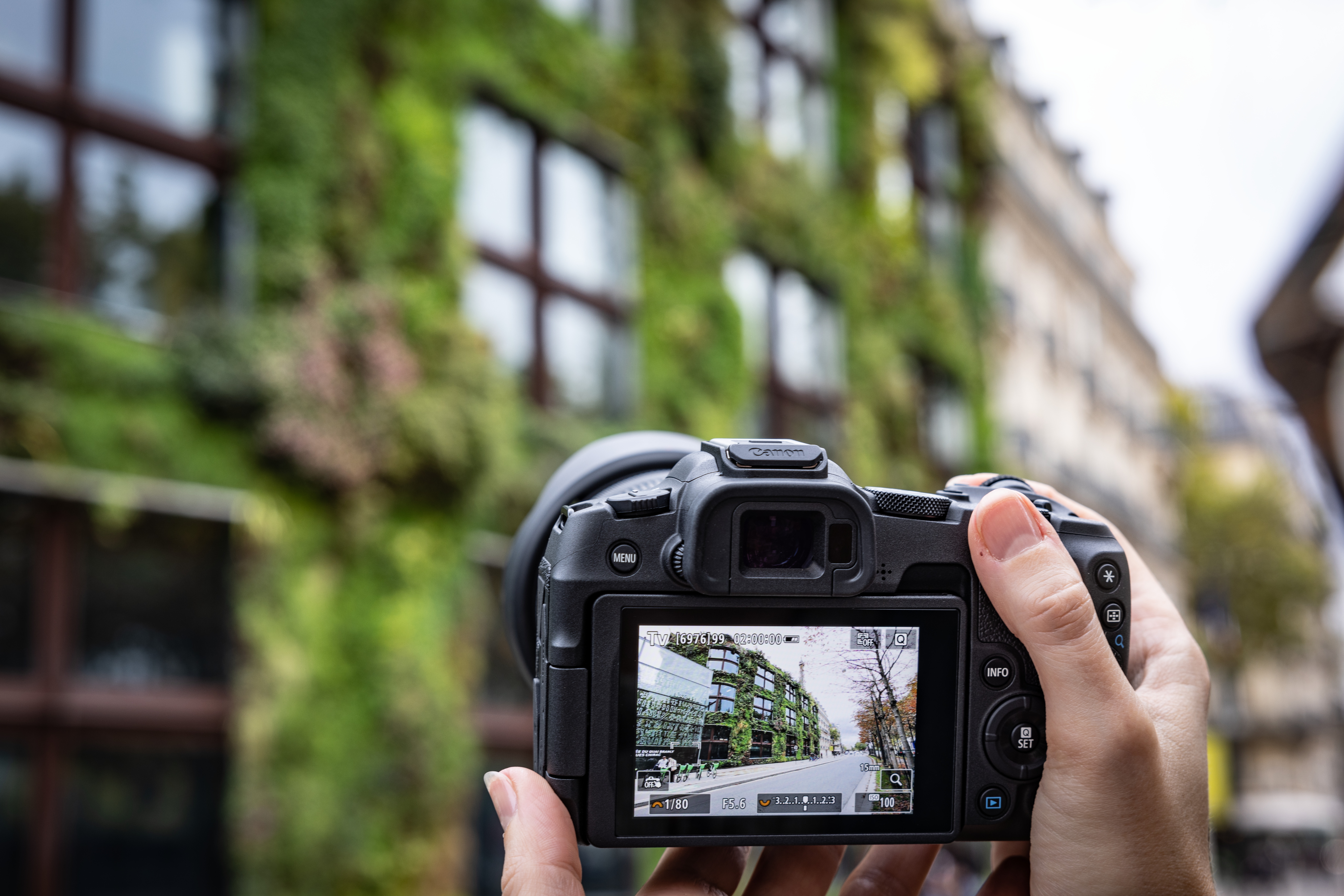 CANON EOS R8 CORPO