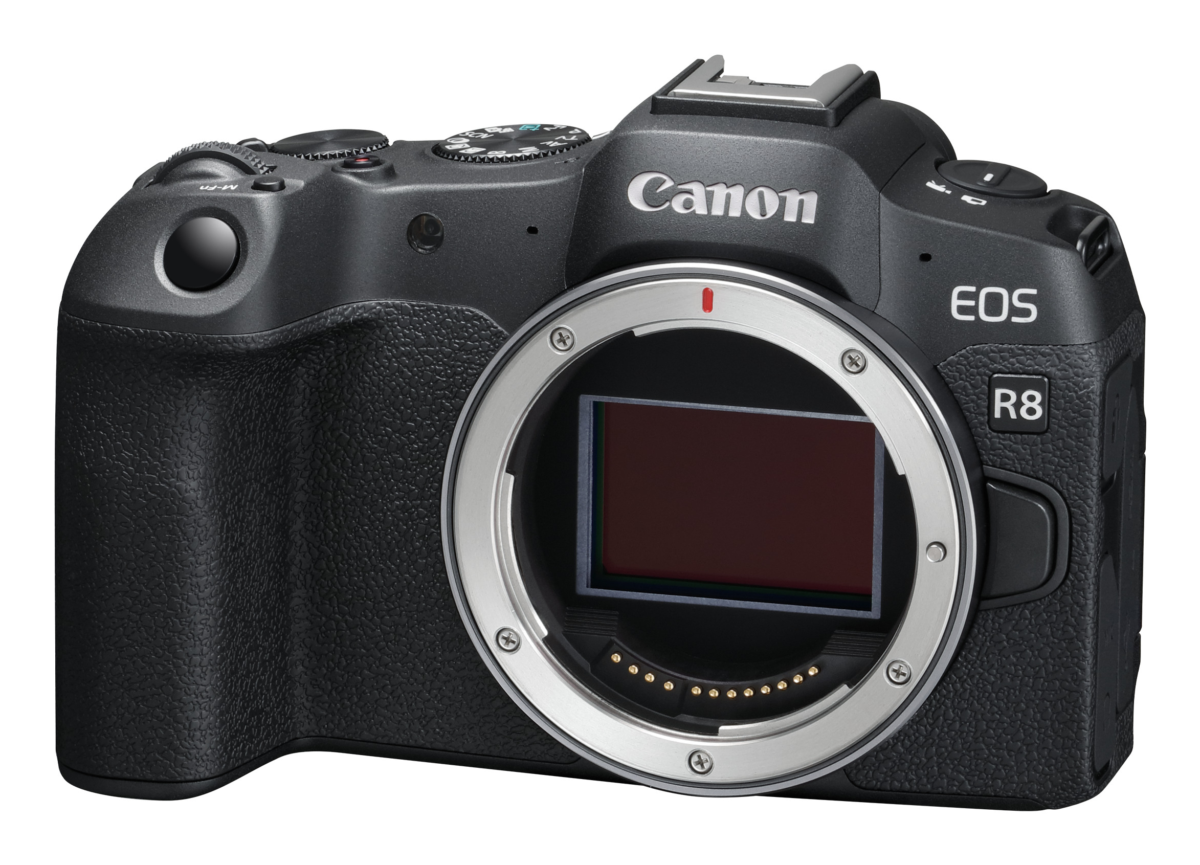CANON EOS R8 CORPO