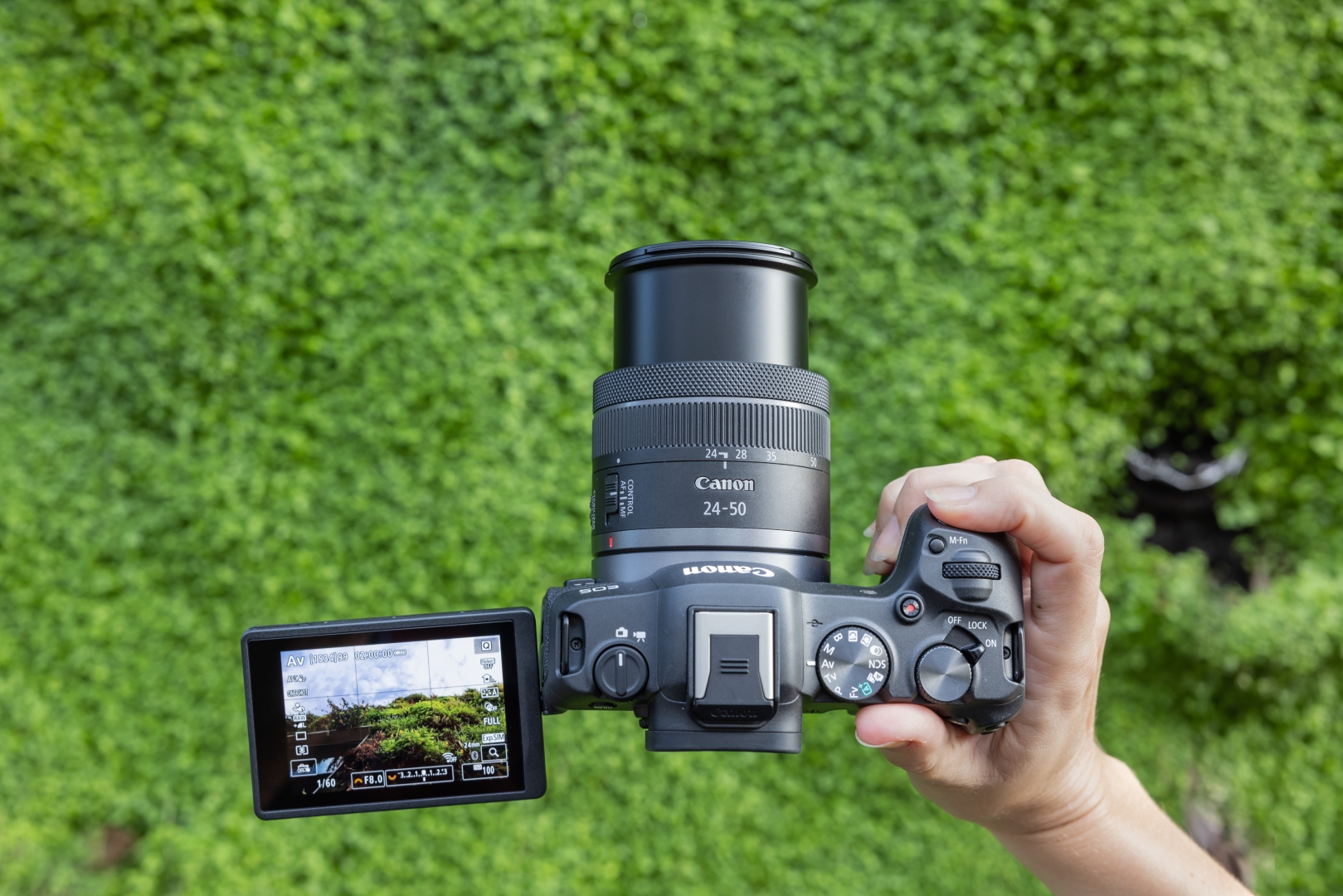 CANON EOS R8 + RF 24-50/4,5-6,3 IS STM