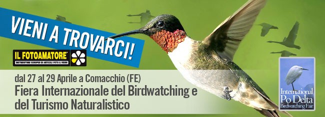 ILFOTOAMATORE presente alla fiera internazionale del Birdwatching a Comacchio