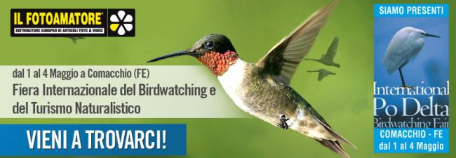 ILFOTOAMATORE presente alla fiera internazionale del Birdwatching di Comacchio