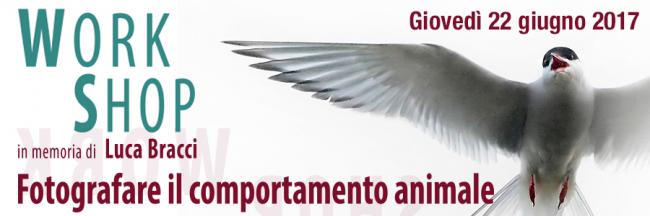22 Giugno 2017 - Workshop 