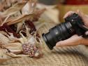 SONY SEL FE 24-50/2,8 G