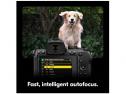 NIKON Z5II CORPO +  LEXAR SD 128GB