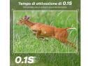 NOMILA Fototrappola 4G LTE (Inclusa SD 64GB + Batteria Solare 7800mAh)