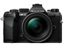 Mirrorless