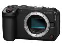 Mirrorless