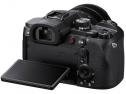 SONY DSC-RX10 V (ZOOM 24-600)
