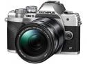 Mirrorless