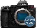 Mirrorless