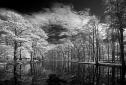 HOYA FILTRO INFRARED (R72) 52MM