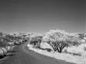 ROLLEI INFRARED RULLO 120