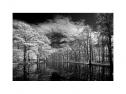 HOYA FILTRO INFRARED (R72) 62MM