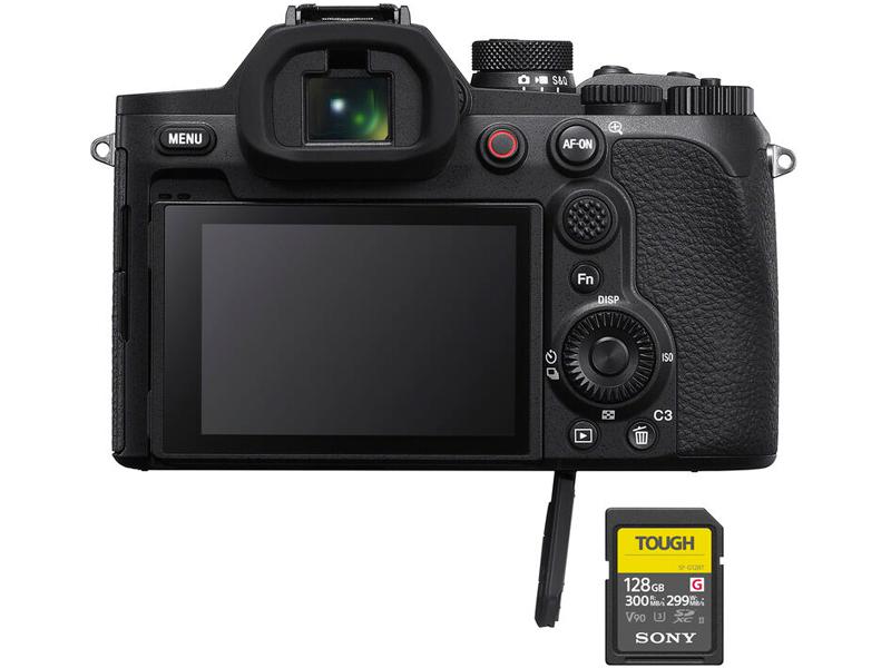 SONY DSC-RX10 V (ZOOM 24-600)