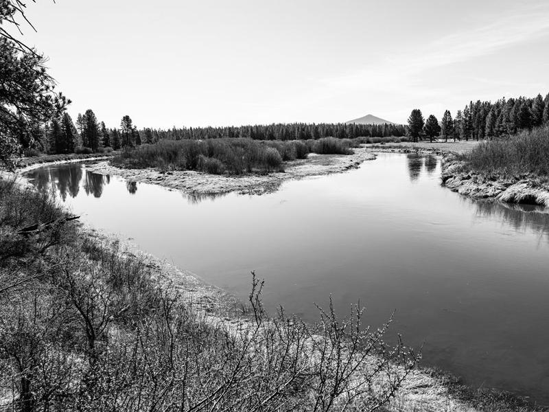 PANASONIC LUMIX S5II + 20-60/3,5-5,6 + 50/1,8 S