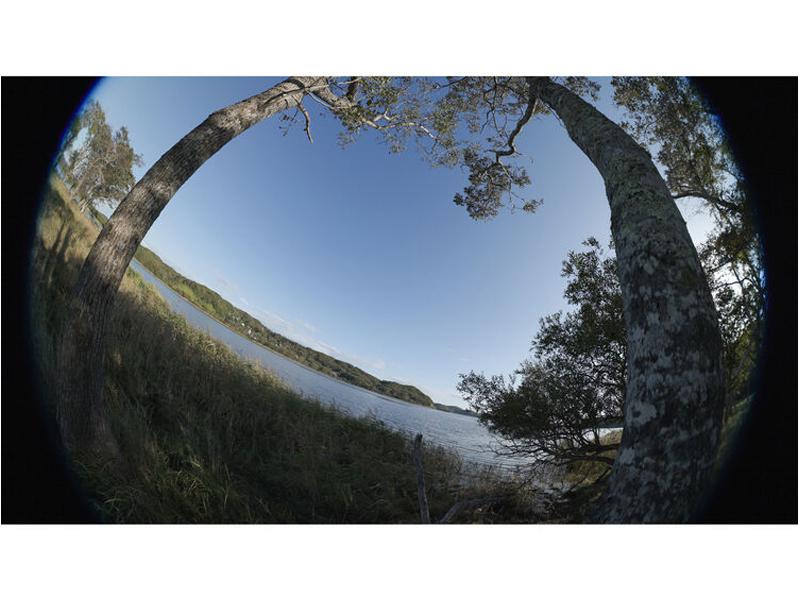 CANON RF 7-14/2,8-3,5 L FISHEYE STM