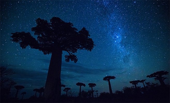 Workshop e viaggio fotografico in Madagascar con Luca  Bracali