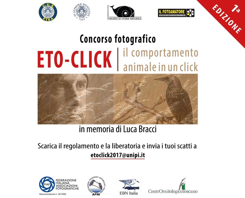 Attenzione scadenza invio foto per Concorso fotografico Etoclick