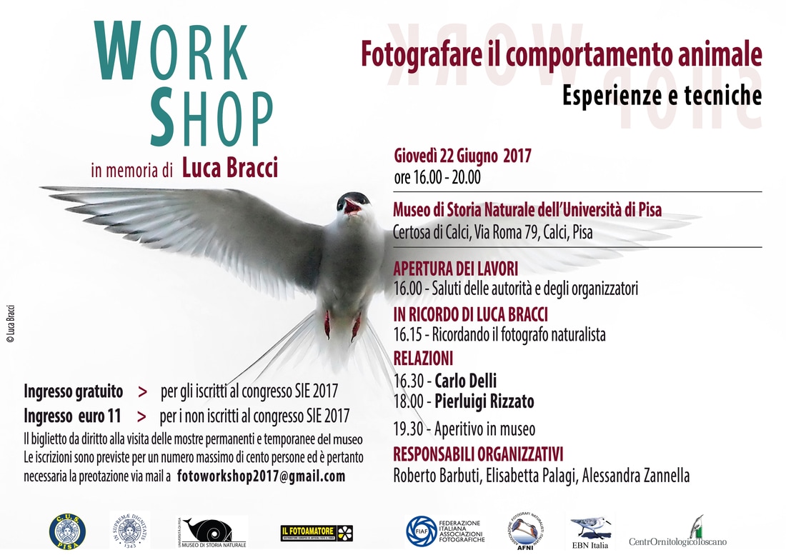 Workshop fotografico 