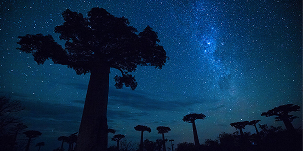 Workshop fotografico in Madagascar con Luca Bracali